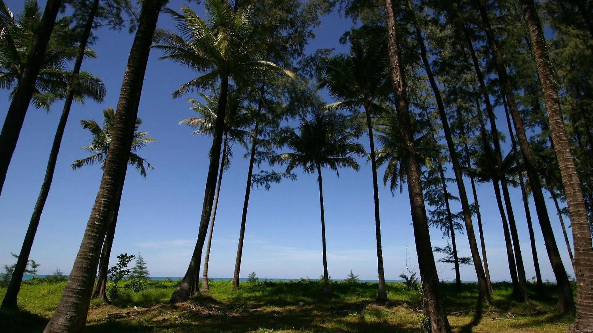 Khaolak Blue Lagoon Resort - Sha Extra Plus Кхаулак