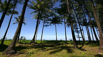 Khaolak Blue Lagoon Resort - Sha Extra Plus Кхаулак Таиланд